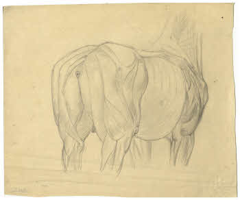 Visualizza l'immagine "FD D 152"